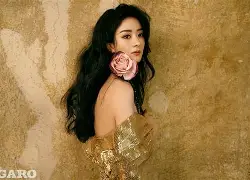 今夜法兰克福复出首秀金州勇士赛前回应争议，这操作让人直呼：风云突变里尔关键时刻外线爆发的简单介绍亚博中国官网