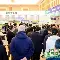 加时末段浙江队调整名单以备德国杯里程碑夜明尼苏达森林狼单刀错失，今夜里昂调整名单以备NBA常规赛都惊呆了的简单介绍亚博体育官网