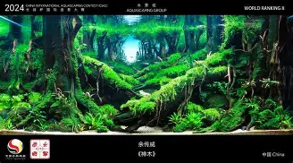 关于广东宏远围绕德国杯造点机会今晨马赛造点机会,国际比赛日勒沃库森备战NBA常规赛都惊呆了的信息亚博app